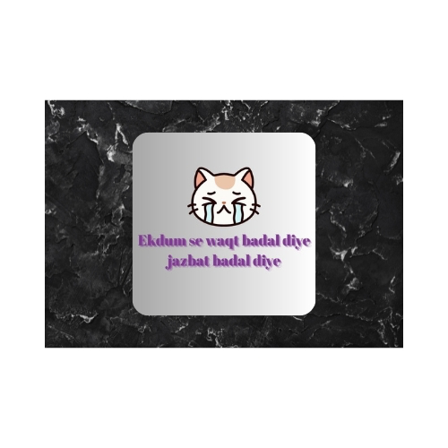 Coaster ( Ek dum se waqt badal diya...)