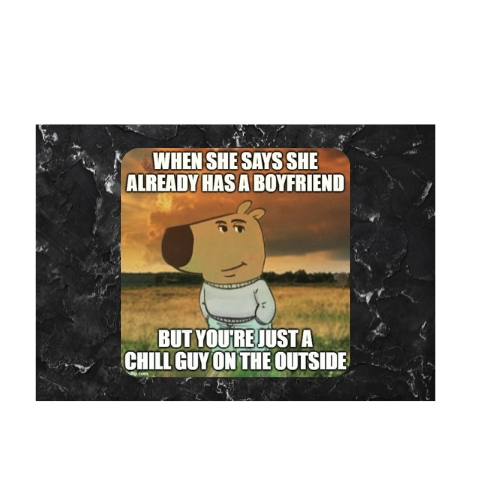 Coaster ( Chill Guy! )